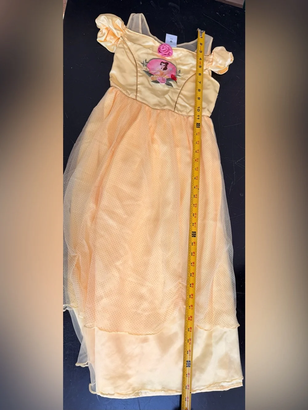 Disney Belle The Beauty and the Beast Halloween costume play dress up